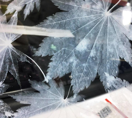 Декоративная пленка USB  PF 37-1, листопад, шир. 1,23 м