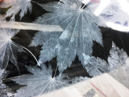 Декоративная пленка USB  PF 37-1, листопад, шир. 1,23 м