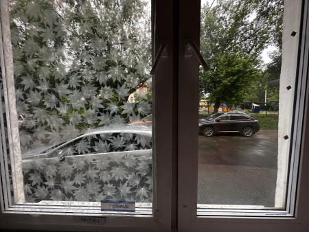 Декоративная пленка USB  PF 37-1, листопад, шир. 1,23 м